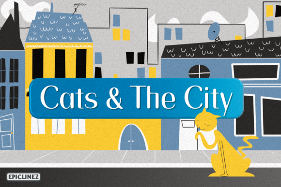 Cats and the City: A Font for Branding That Speaks Volumes